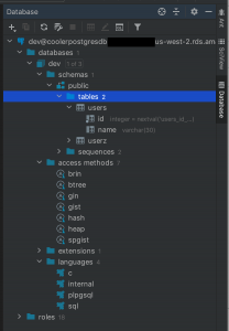 JetBrains database structure window with added database showing schema inspection