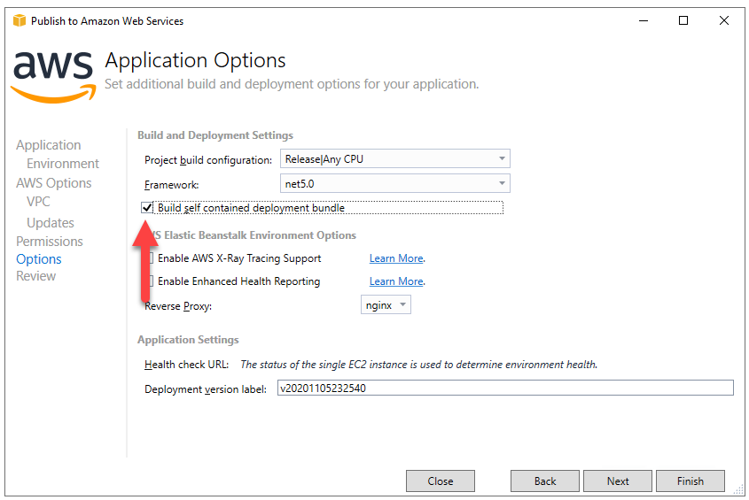 Lambda Publish Applicaiton Options