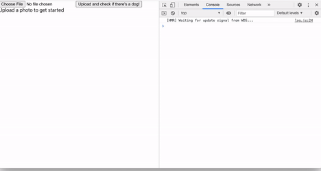 Uploading a dog photo to S3