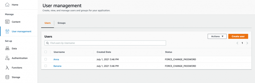 Screenshot of Admin UI's User Management Screen