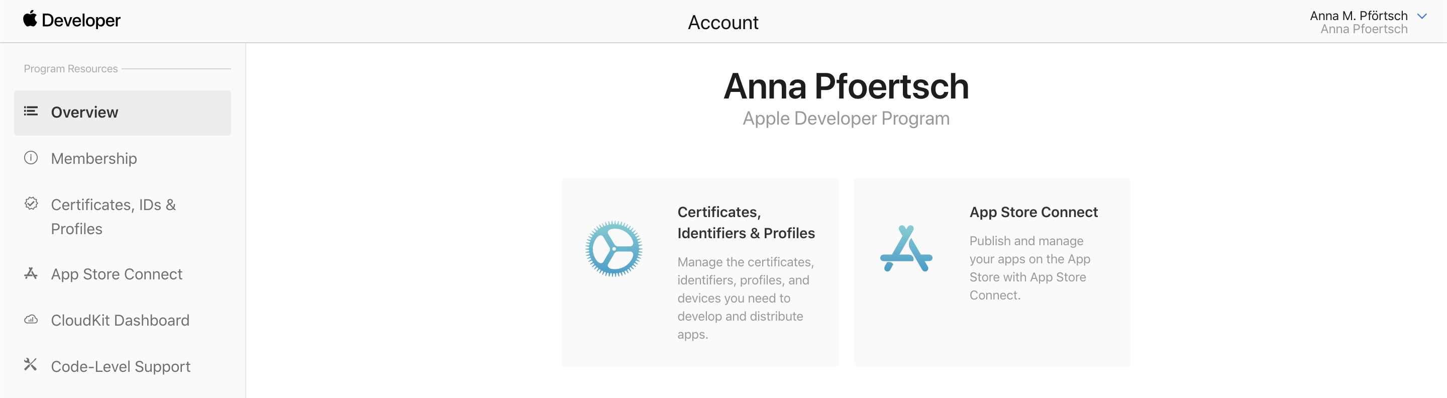 Screenshot of Apple Developer Program overview page