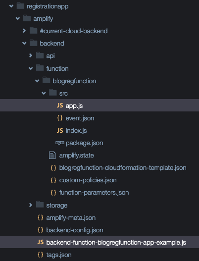 File directory with app.js file selected.