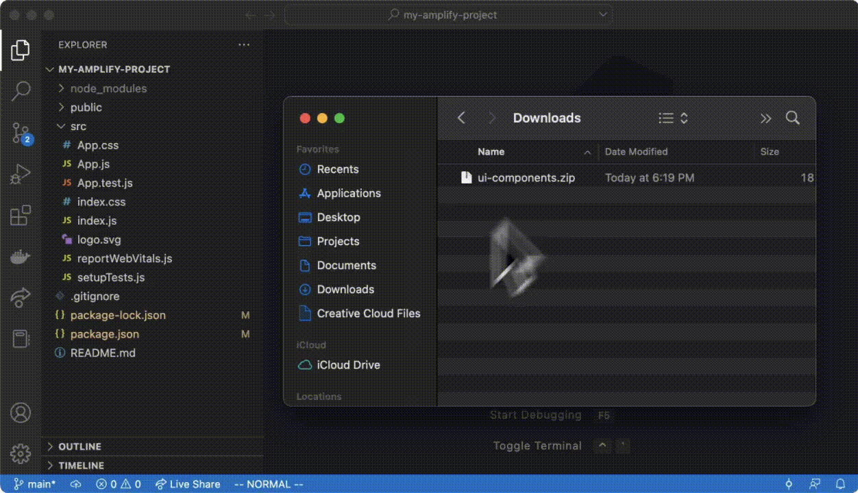 Video demonstrating how to unzip and move the generated forms
