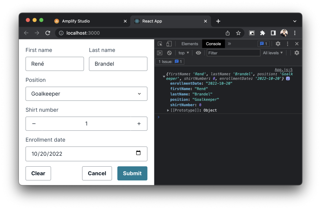 Screenshot of the form rendered in the browser