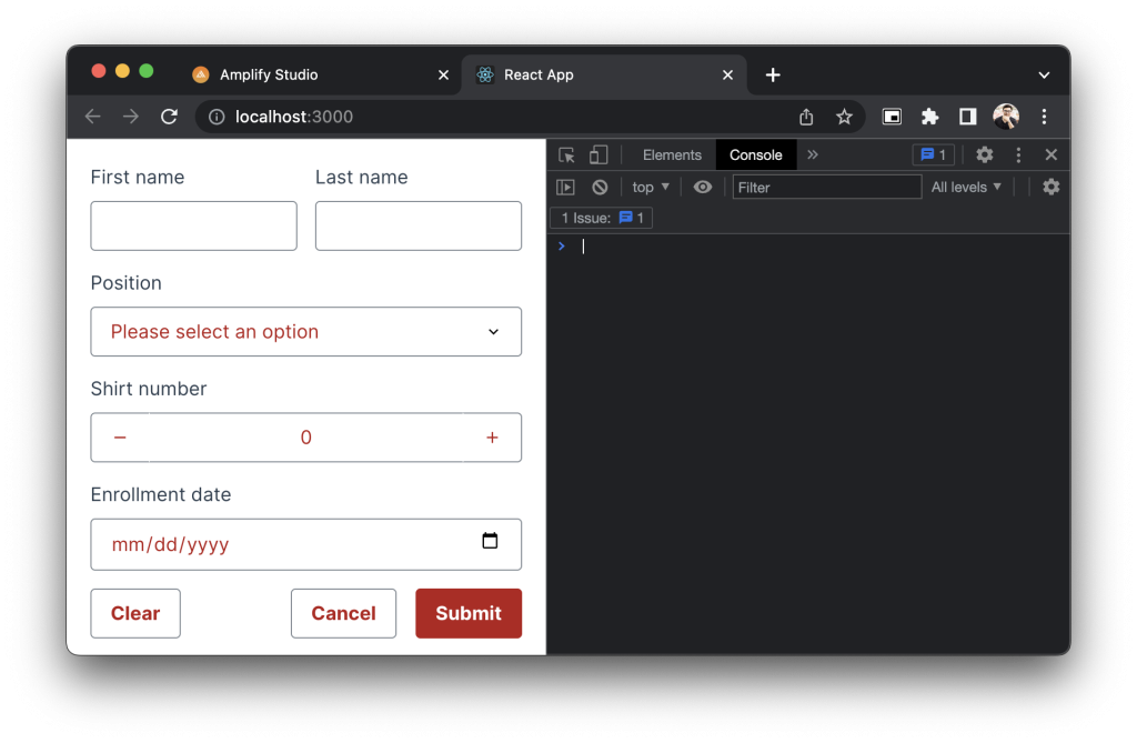 Screenshot of the form rendered with updated styling