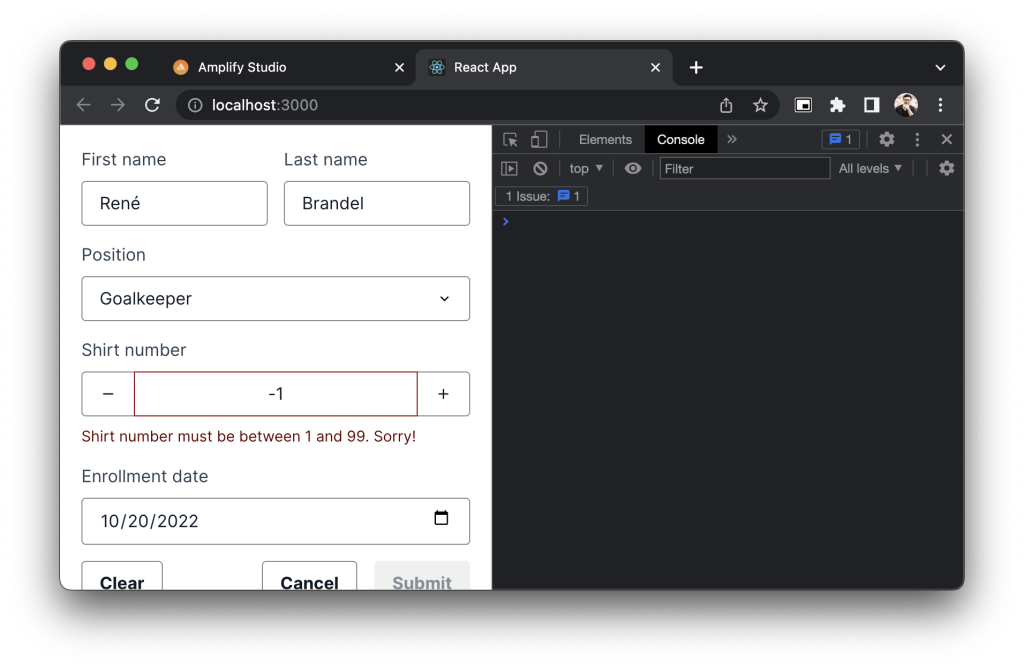 Screenshot of the form rendered with validation errors