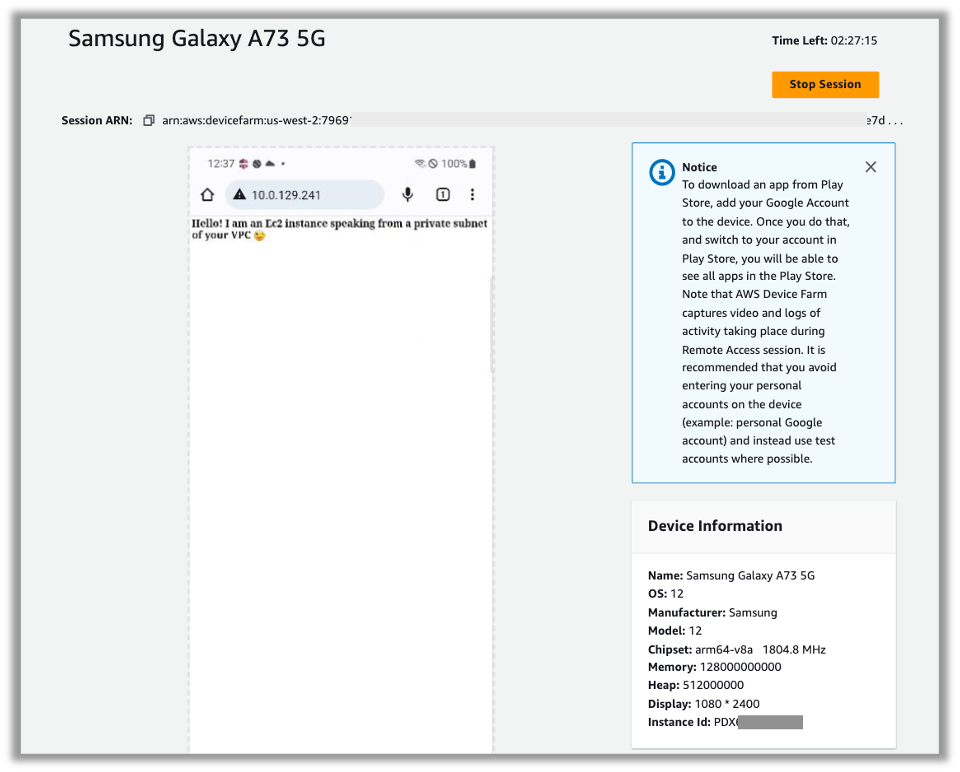 Figure 3: Webpage hosted in your VPC displayed on the private device browser.
