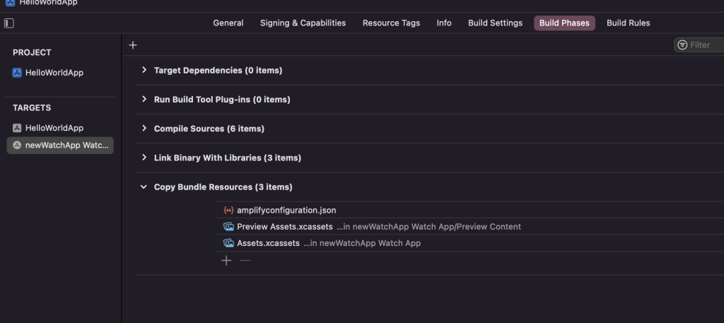 Add Amplify Config File