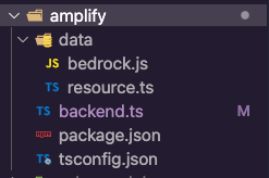 The Amplify folder in the project