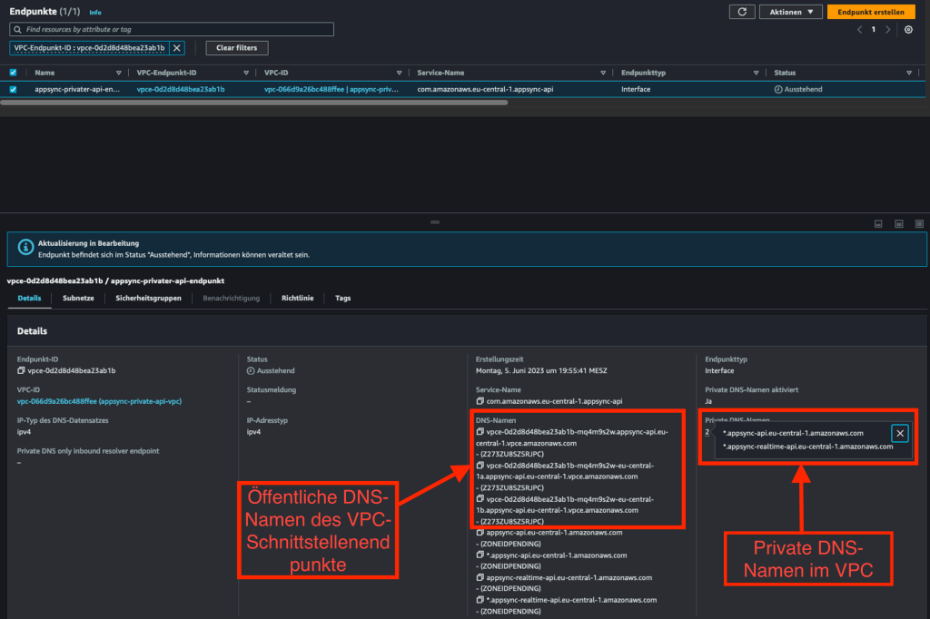 Bildschirmfoto zur Übersicht der DNS Daten zum erstellten privaten Endpunkt.