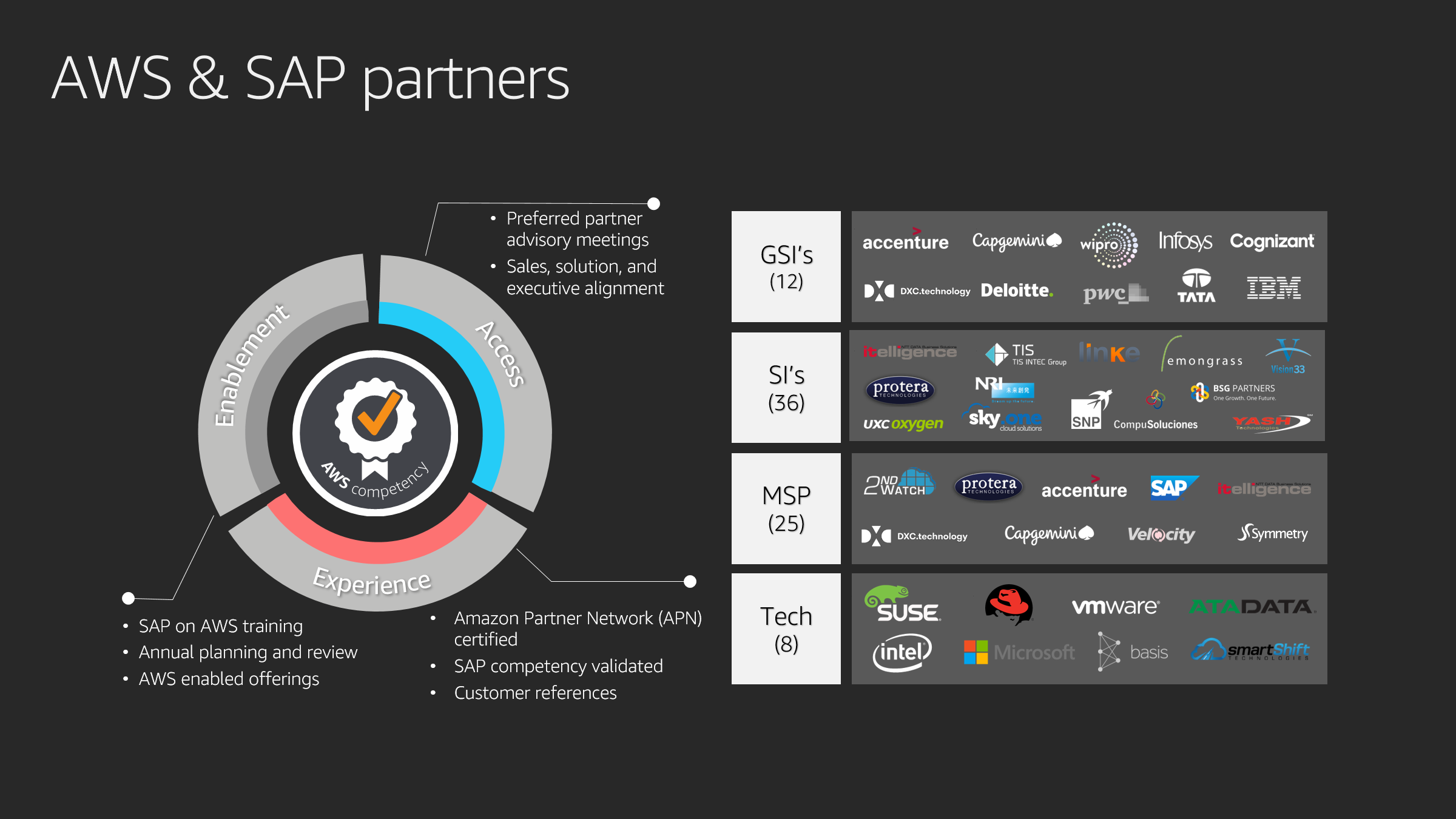 Image that shows AWS & SAP partners including GSIs, SIs, MSPs, and Tech Partners.