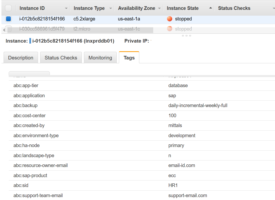 This is an image of sample tags that have been set up for ABC company. Tags include app-tier, application, backup, cost-center, created-by, environment-type, ha-node, landscape-type, resource-owner-email, product, sid, and support-team-email.