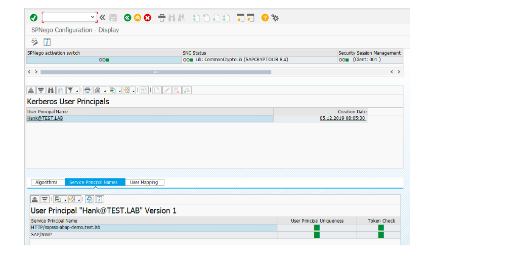 The image shows the SPNego configuration result for a domain user.