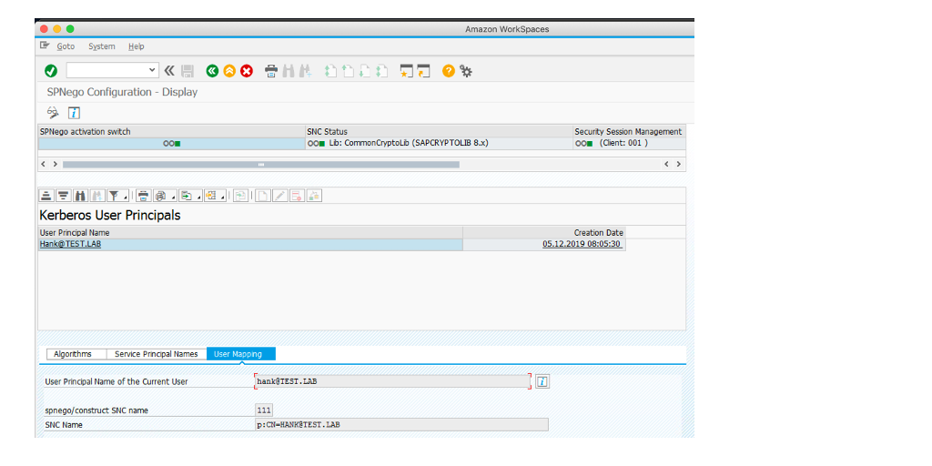 The image shows the User Mapping value for domain user