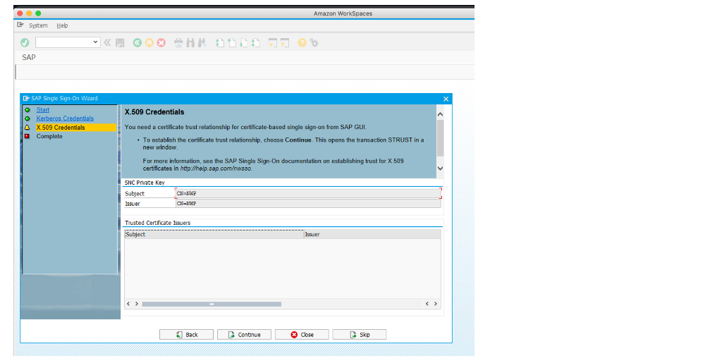 The image shows the final step in SAP T-code SNCWIZARD.