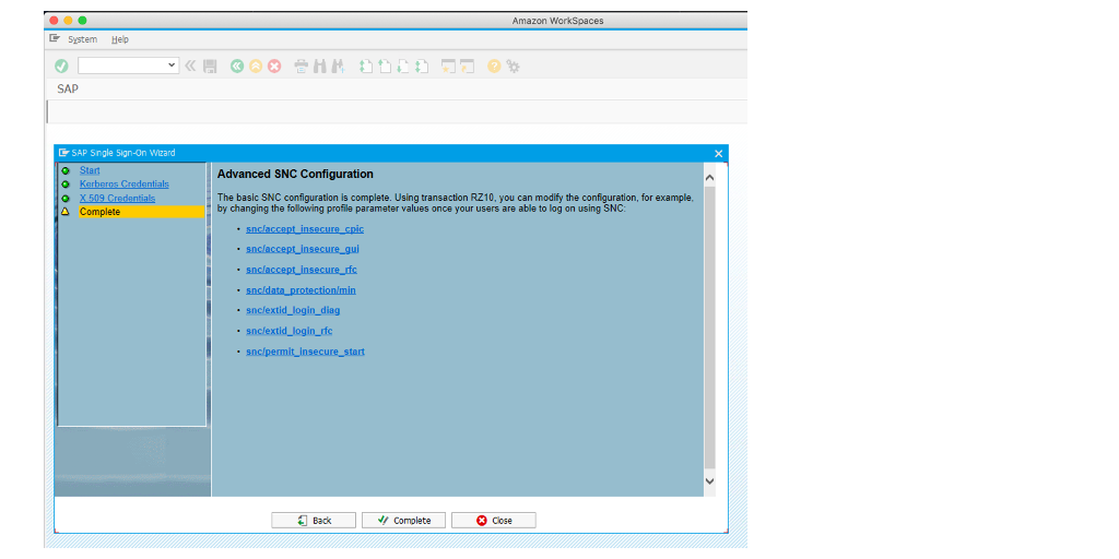 The image shows the final step in SAP T-code SNCWIZARD.