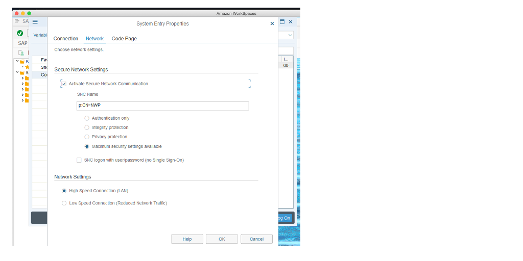 The image shows configuration for SAP GUI logon entry.
