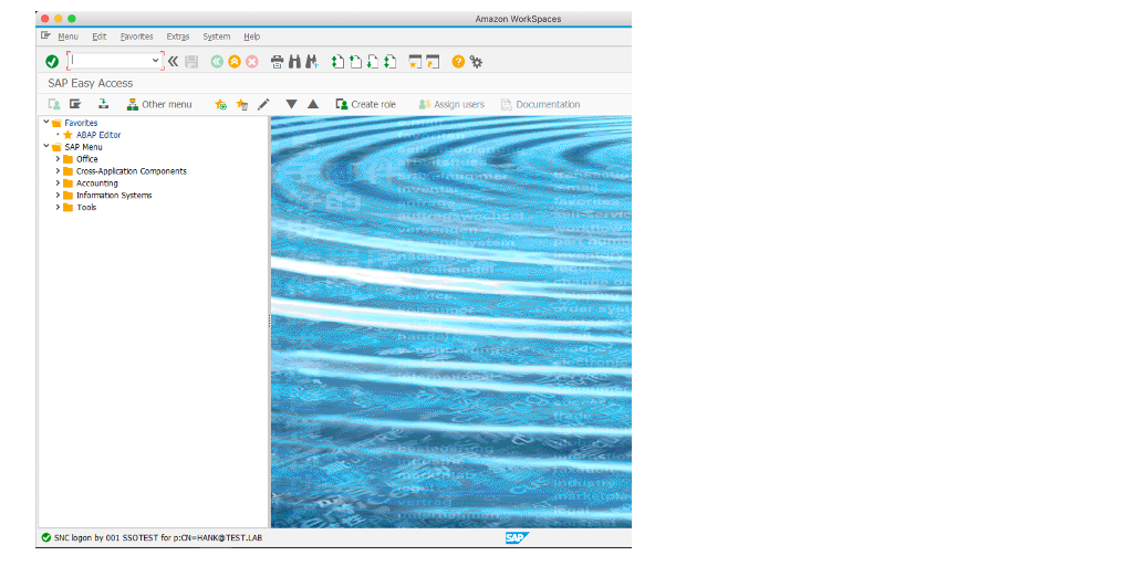 The image shows success for SAP GUI single sign-on result.