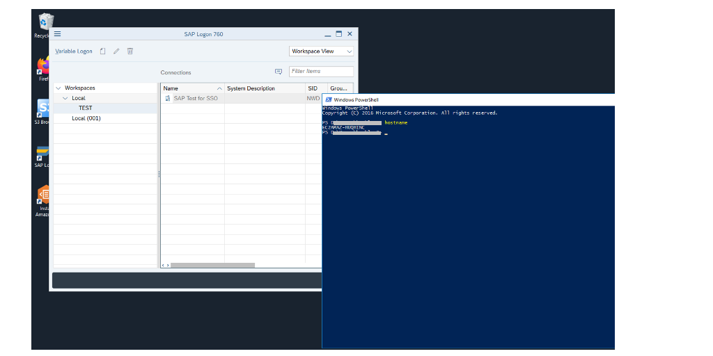 The image shows the result that second Amazon WorkSpaces imported the shared SAP GUI logon entry.