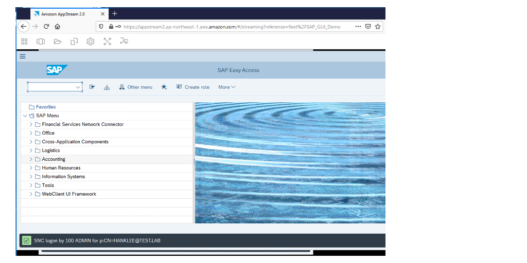 The image shows success for SAP GUI single sign-on result from Amazon Appstream 2.0 URL.