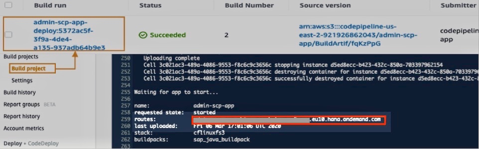 Validate build logs and copy the SCP route url