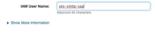 Amazon SES IAM username input screen