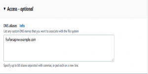 DNS Alias Optional Name
