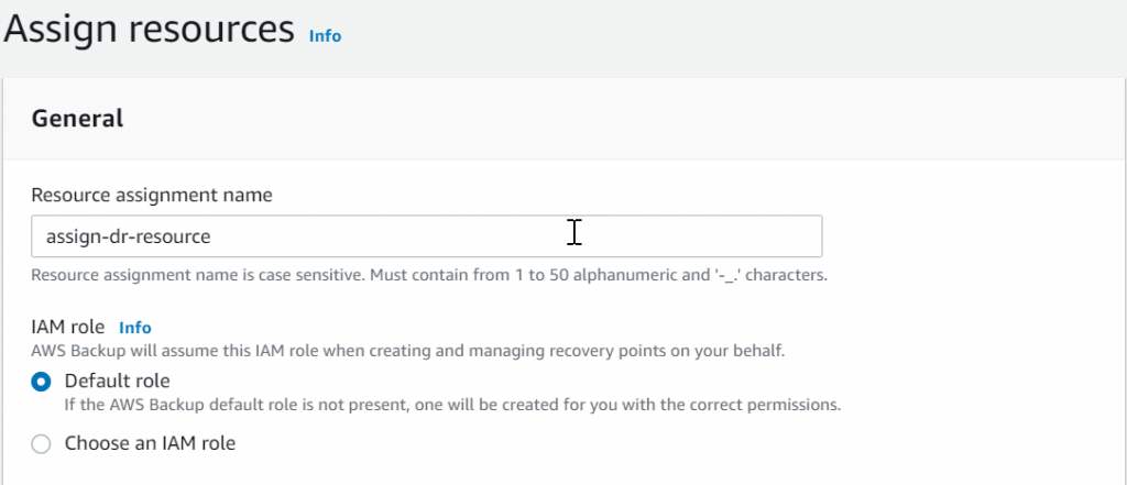 IAM Role assignement