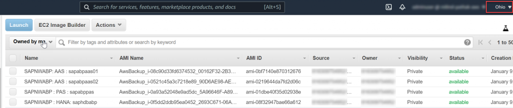 AMI's to be used for launching the target