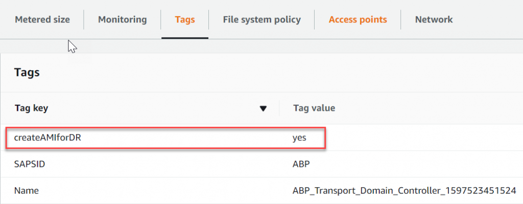 CreateAMIforDR - Tag