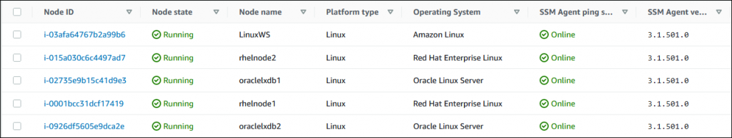 Systems Manager managed nodes