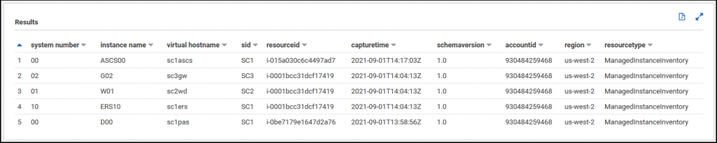 query sapinstancelist - results