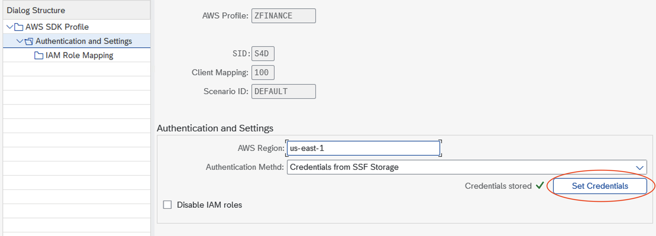 AWS SDK Profile - Authentication for on-premise system