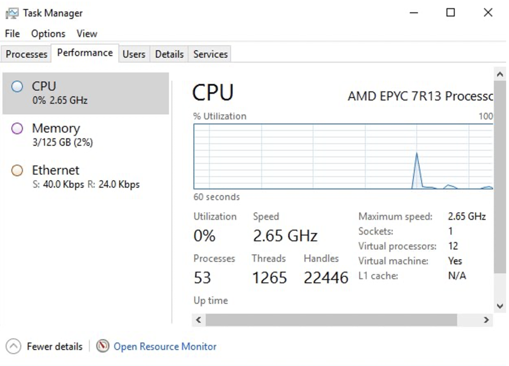 Screenshot of Task Manager showing details of a r6a.4xlarge instance with CPU options specified