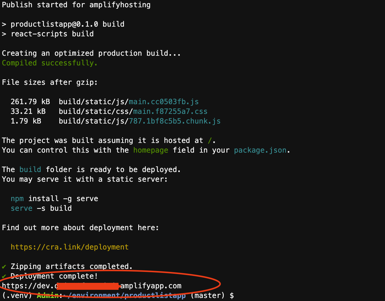 Output of amplify publish command