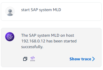Figure 34 - Start SAP system by the Agent