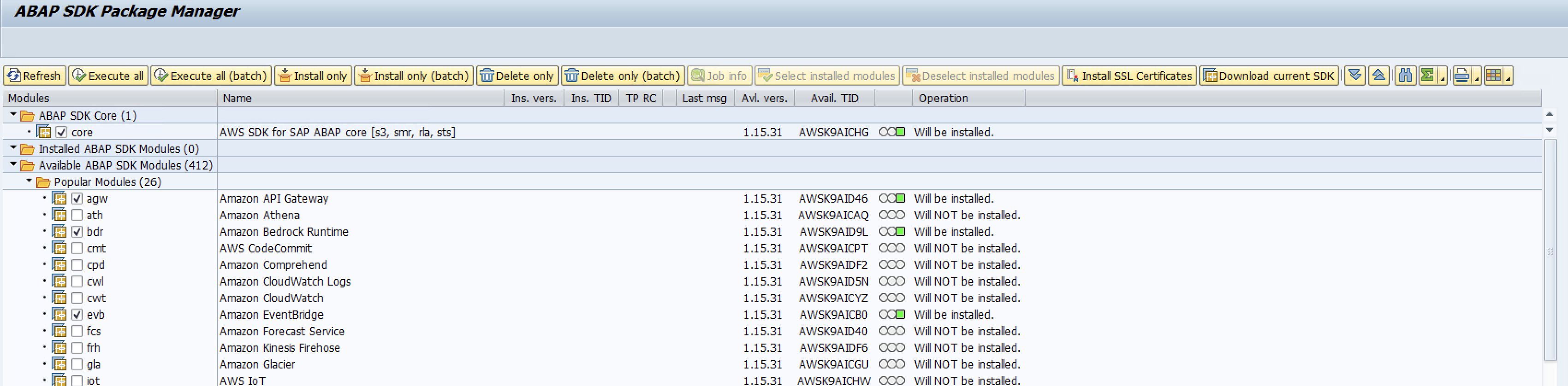 必須のコアトランスポートを含む、ABAP SDKインストーラーでのパッケージ「agw」、「bdr」、「evb」の選択例