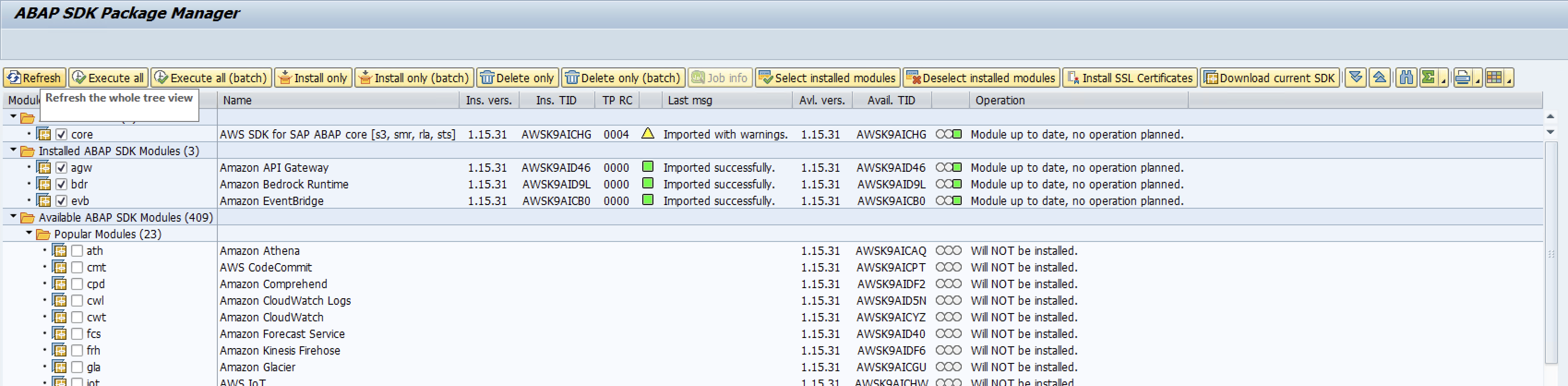 以前に選択されたすべてのパッケージがインストールされた後のABAP SDKインストーラーを示すスクリーンショット
