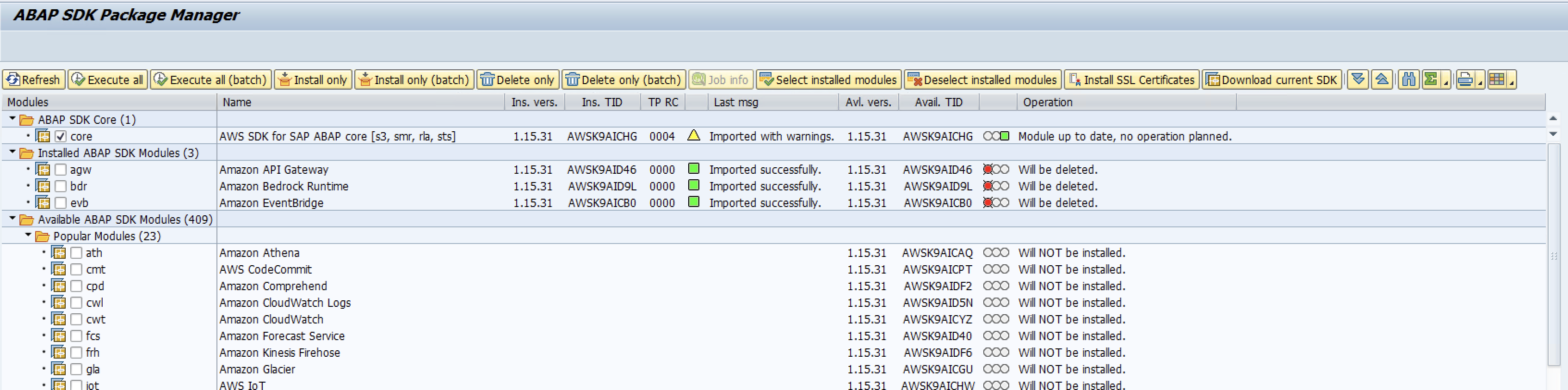 削除用に選択されたパッケージ「agw」、「bdr」、「evb」を含むABAP SDKインストーラーを示すスクリーンショット