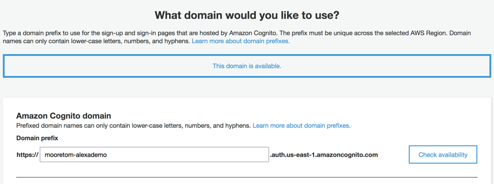 Choosing a Domain Name
