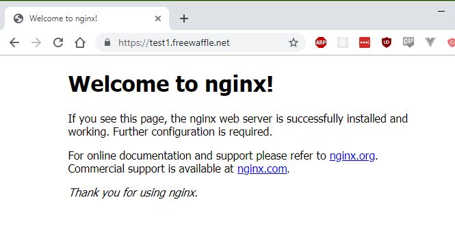 A publicly accessible URL served from our Lightsail instance with SSL support