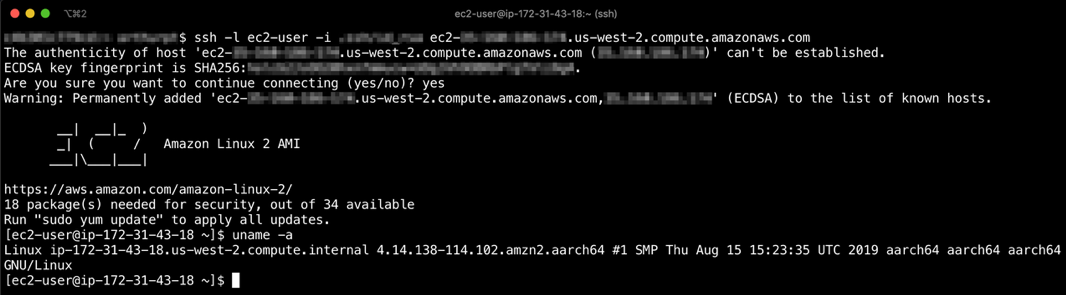 run the ‘uname -a’ command to show that you are running on an ‘aarch64’ architecture which is the Linux architecture name for 64-bit Arm