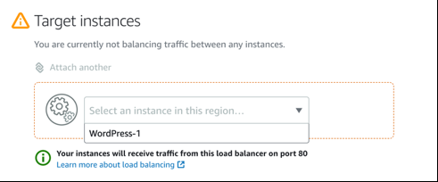 screenshot showing an instance being selected from the drop down