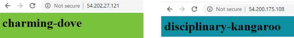 images of two instance urls