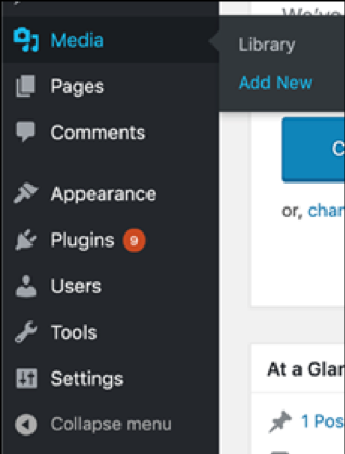 adding new media in WP 