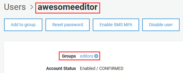 User now member of editors group