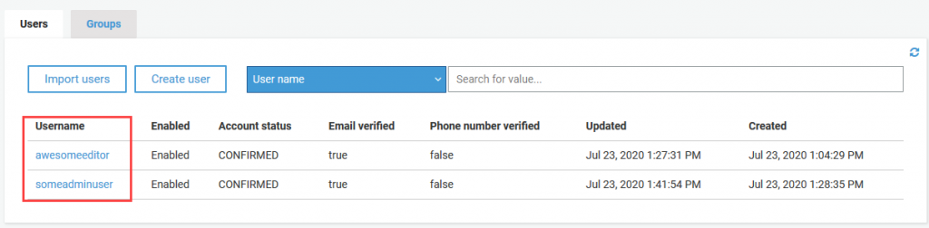 View Amazon Cognito users created