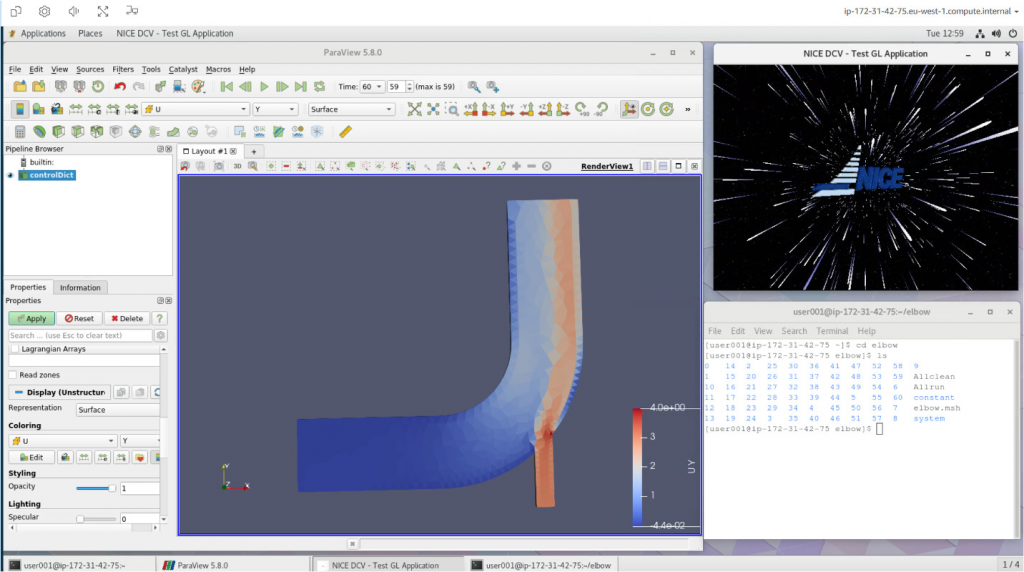 DCV Client connected to a running session