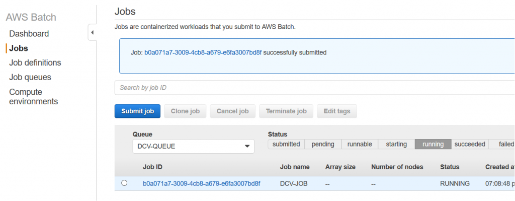 Running DCV job on AWS Batch
