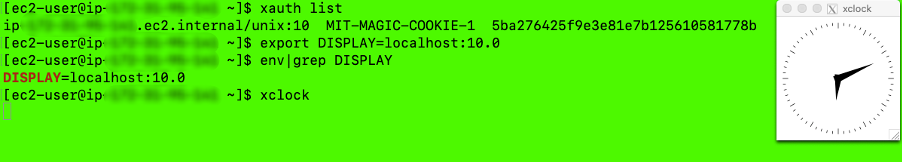 sample output xclock